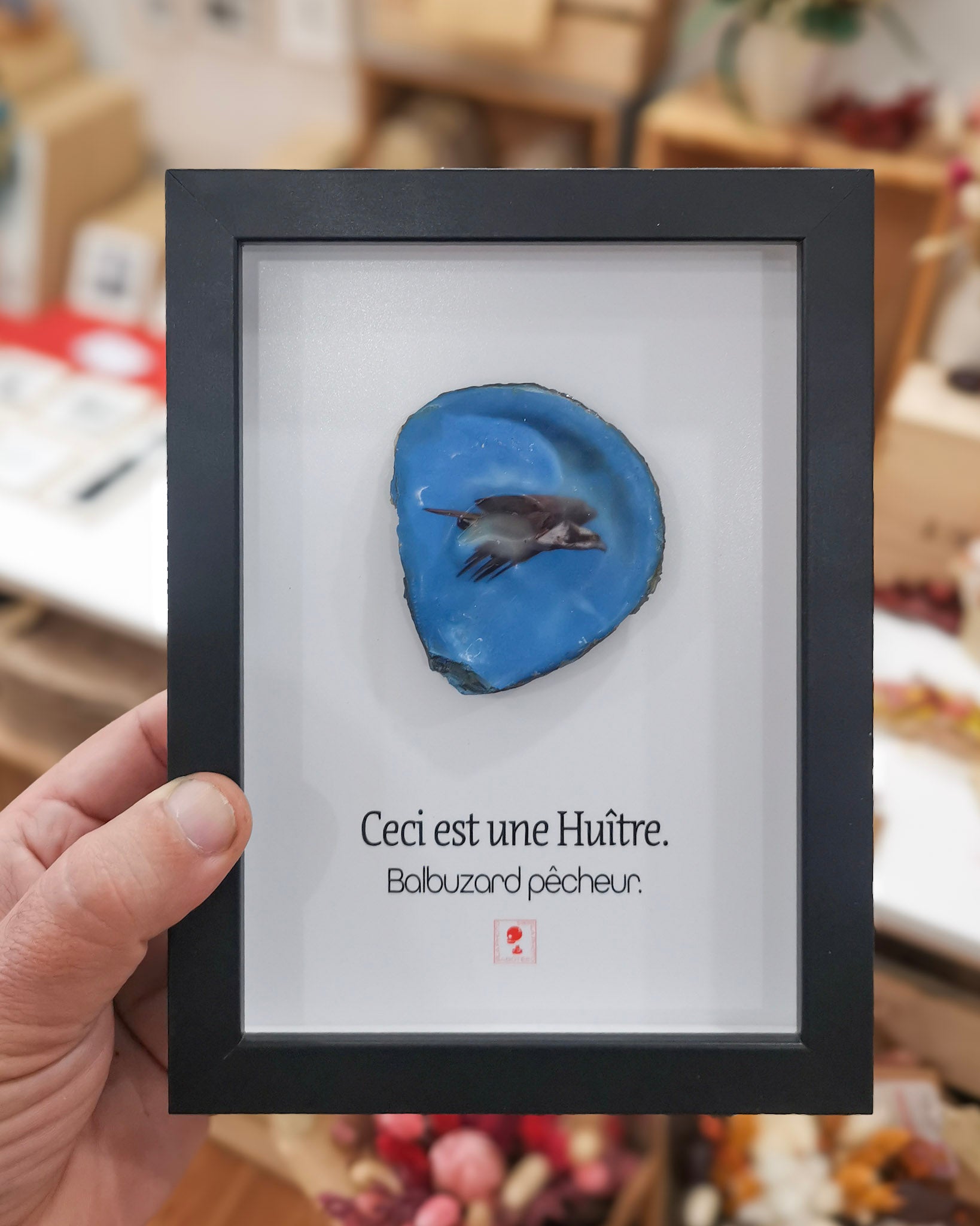 Huître Photographique – Le Balbuzard pêcheur  – Cadre 13x18 cm