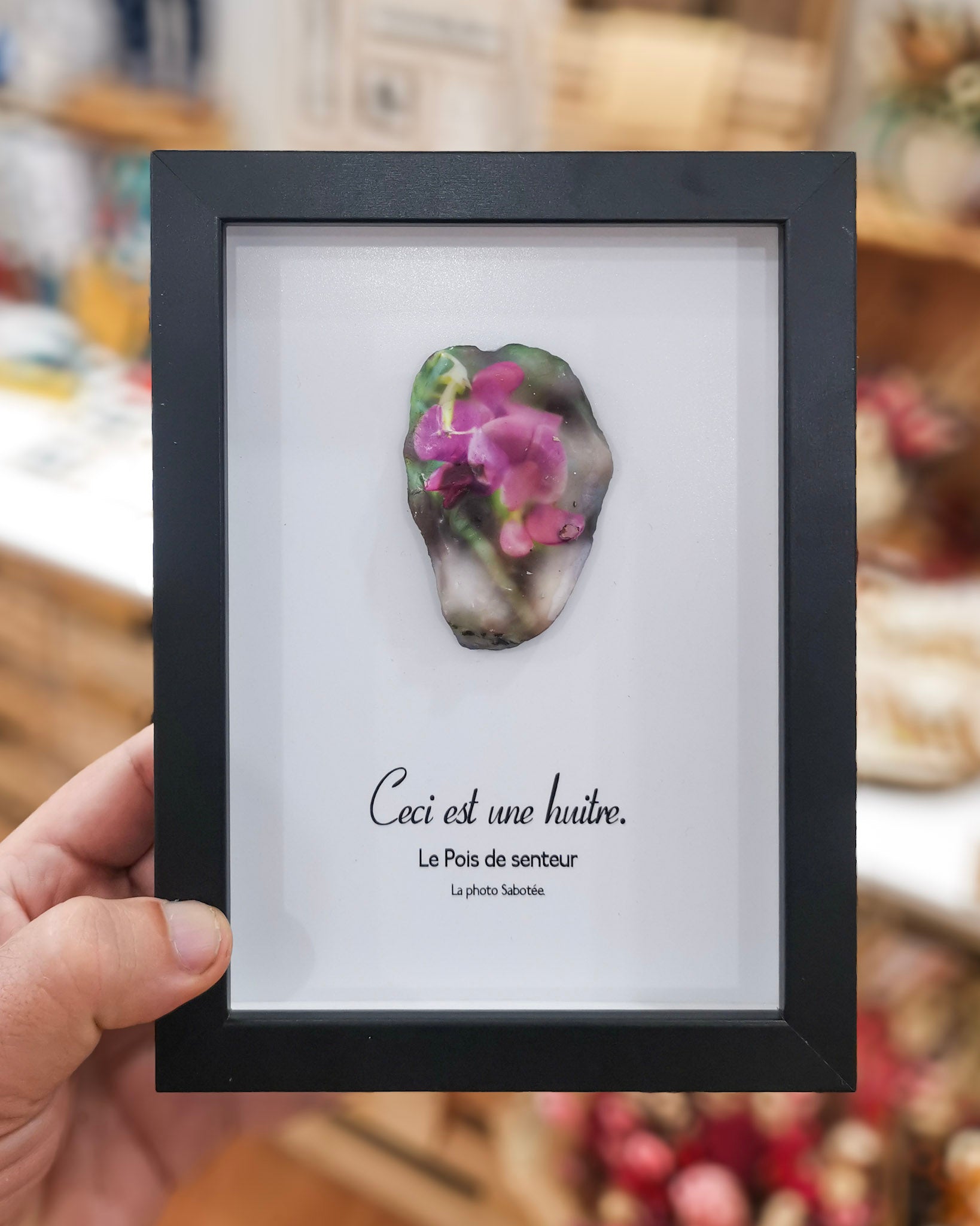 Huître Photographique – le pois de senteur – Cadre Art Box 13x18 cm