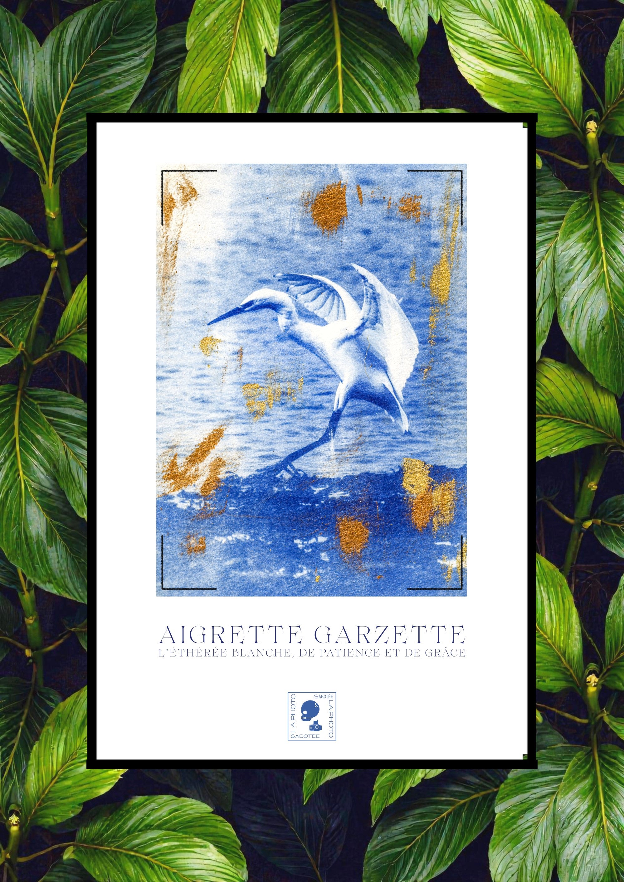 Affiche Cyanotypée (sans cadre) – aigrette garzette