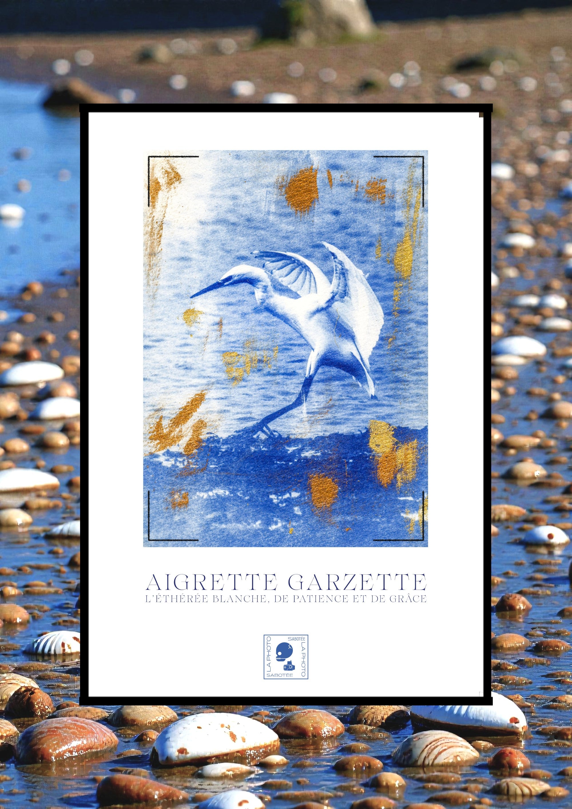 Affiche Cyanotypée (sans cadre) – aigrette garzette