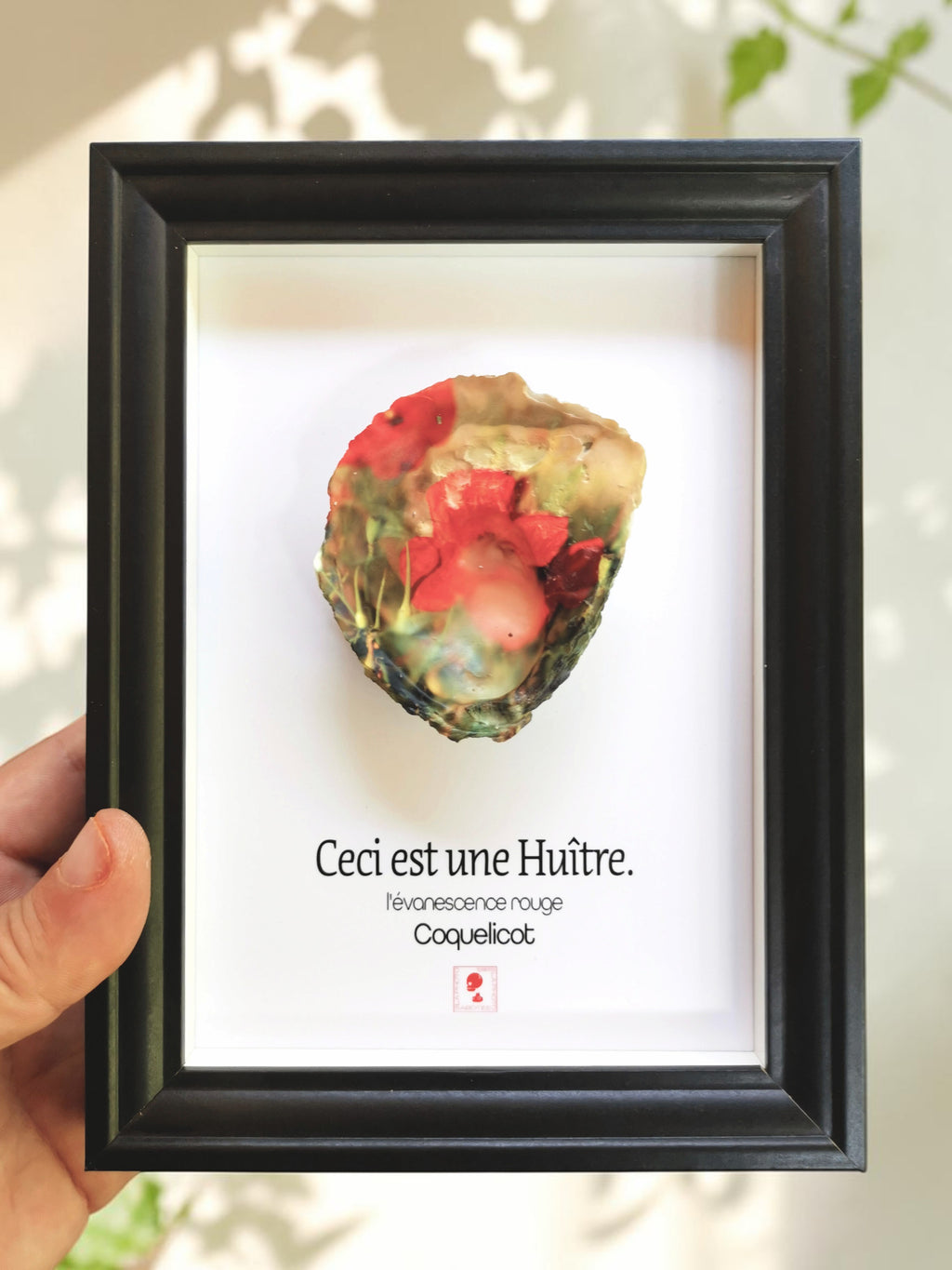 Huître Photographique – Coquelicot – Cadre Art Box 13x18 cm
