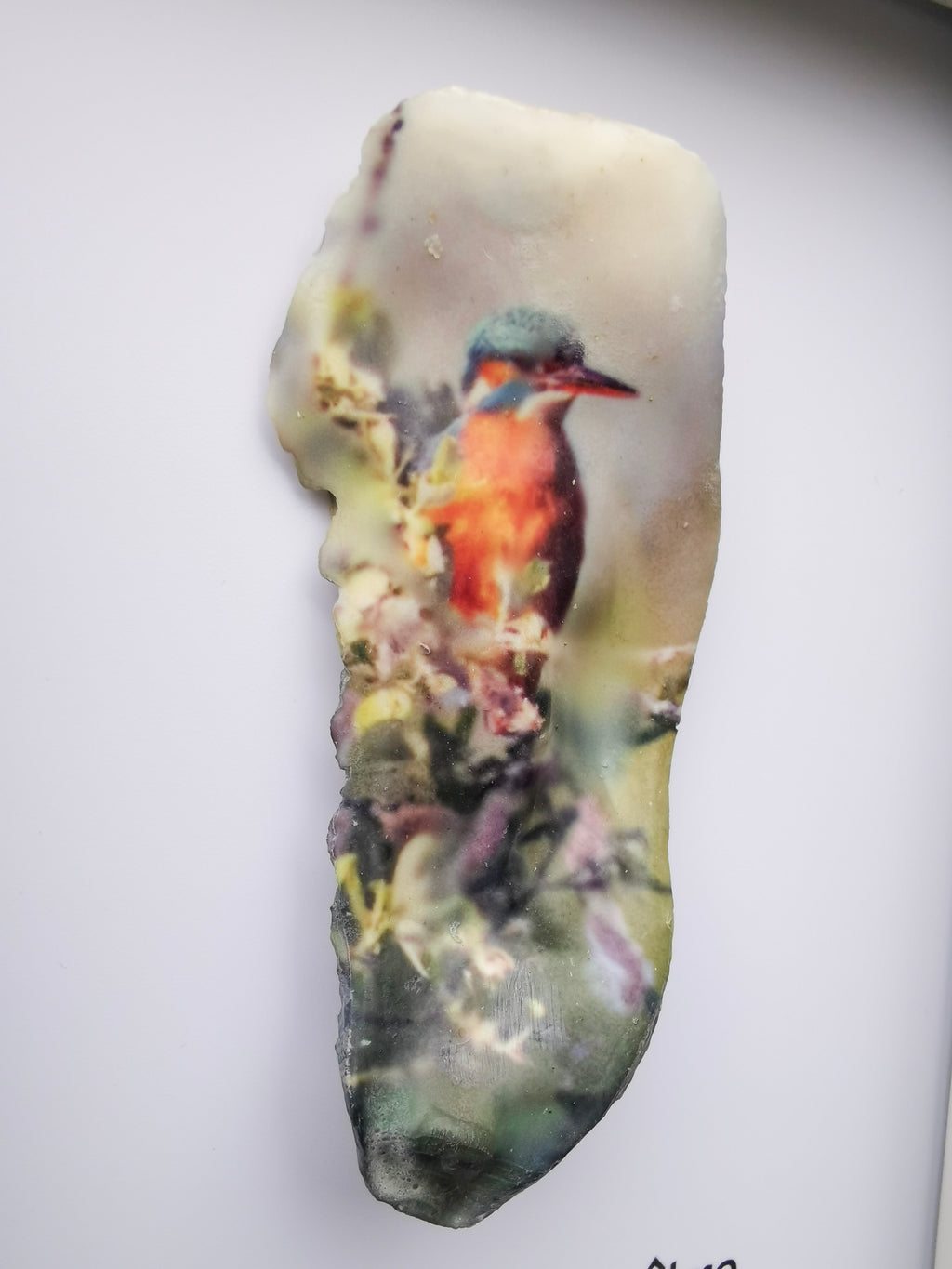 Huître Photographique – Martin Pêcheur – Cadre Art Box 13x18 cm