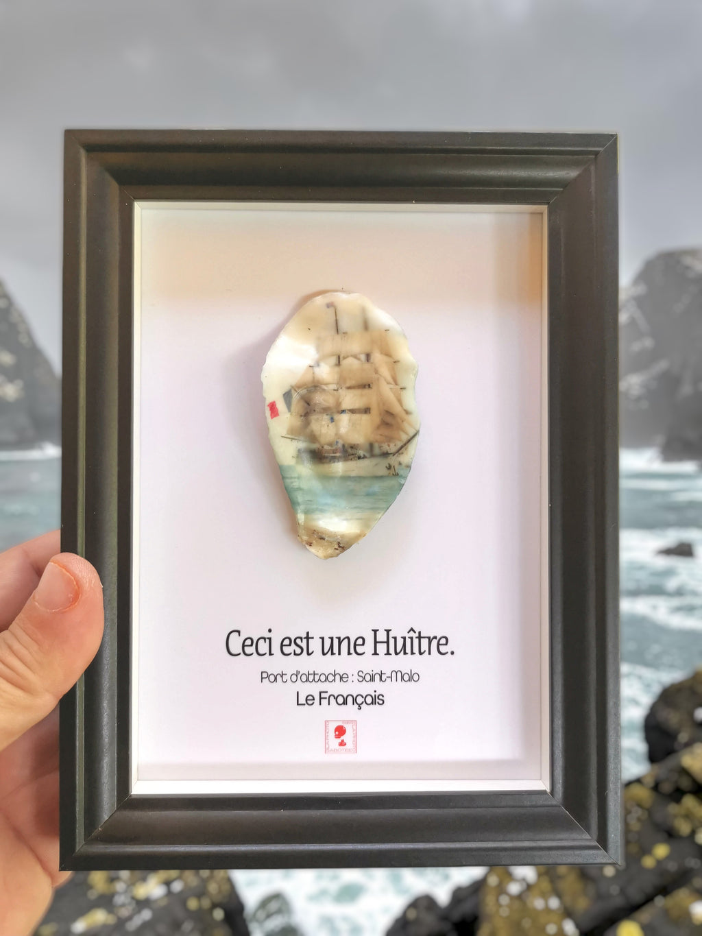 Huître Photographique – Le Français – Cadre Art Box 13x18 cm