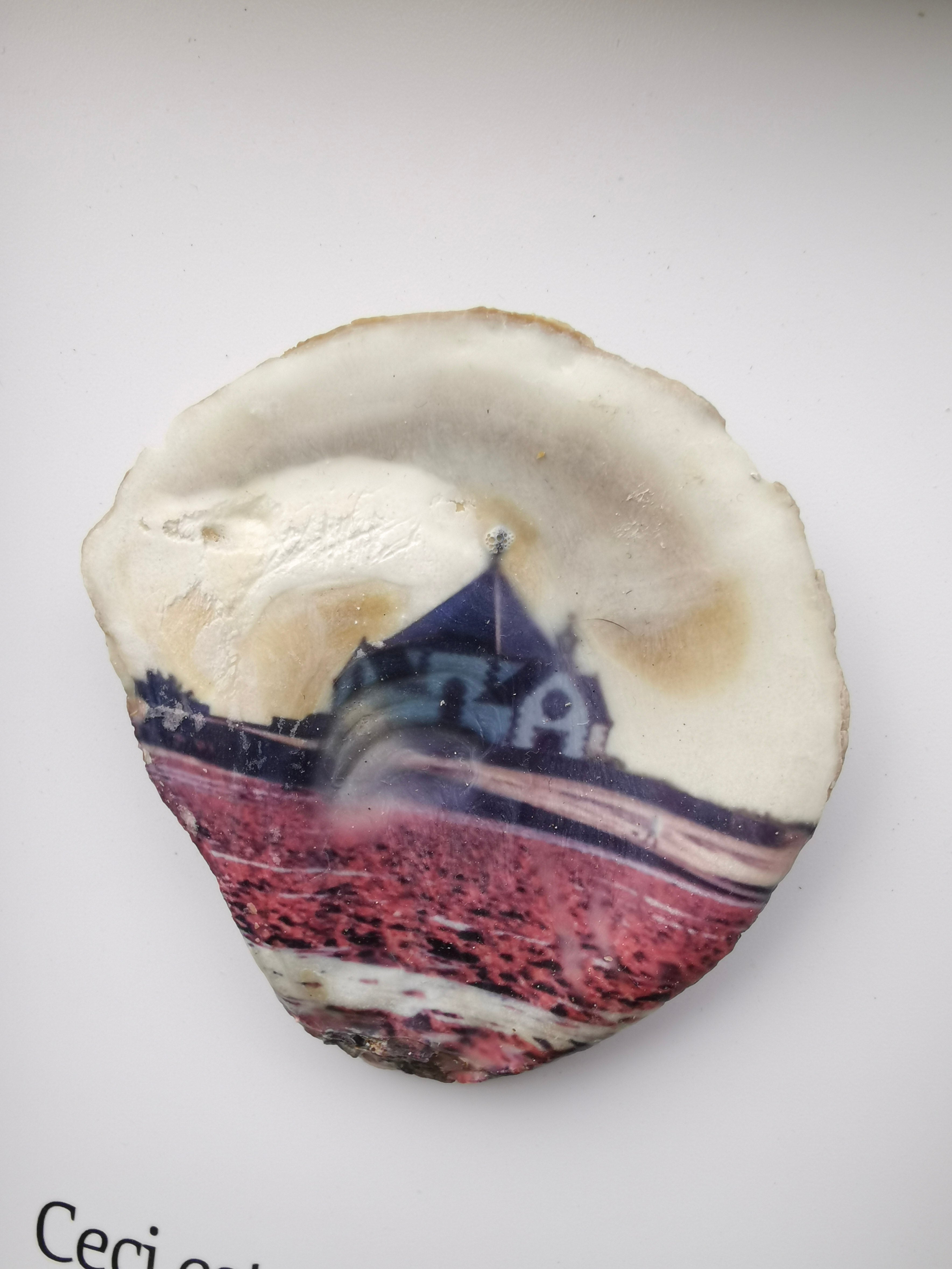 Huître Photographique – Chapelle Notre-Dame-de-la-Côte, Penvins – Cadre Art Box 13x18 cm