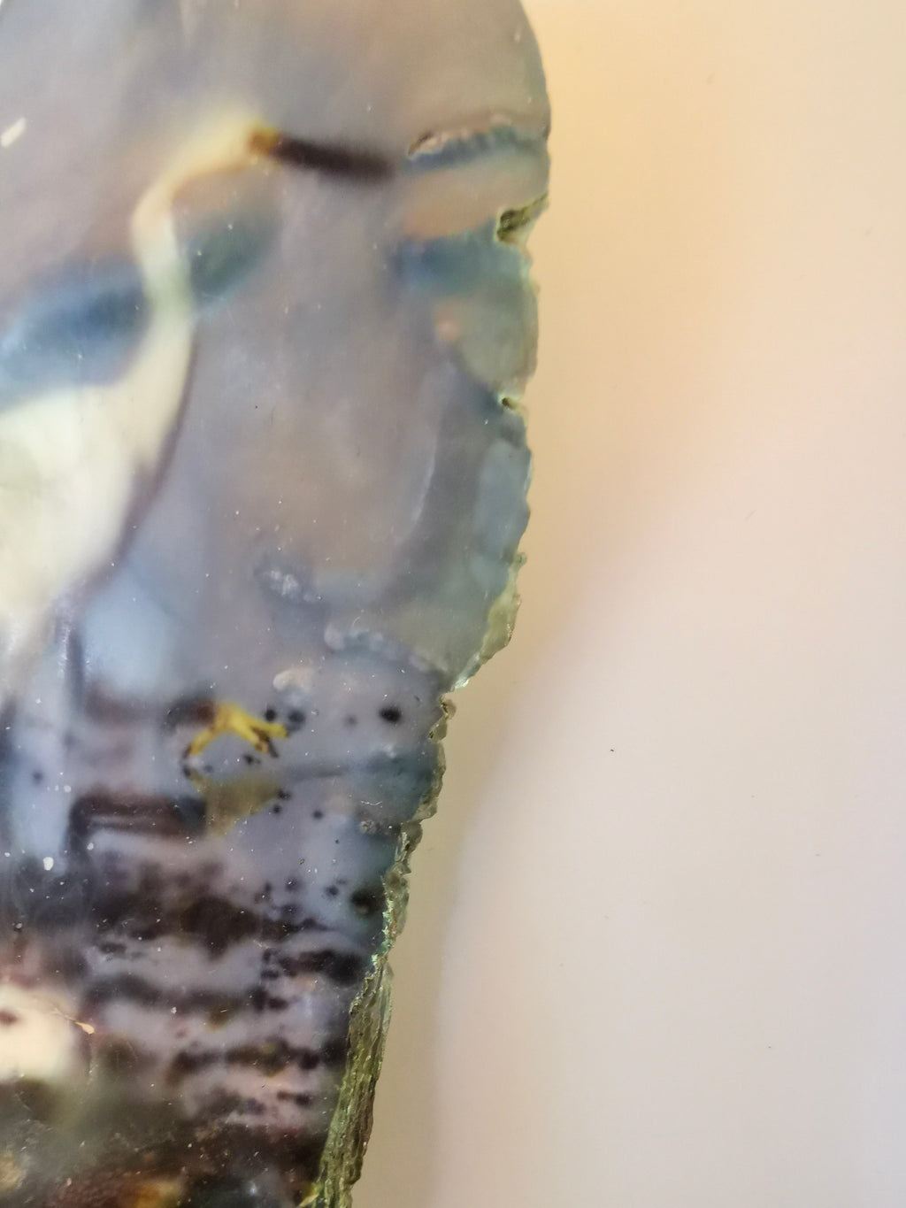 Huître Photographique – Aigrette garzette – Cadre Art Box 13x18 cm