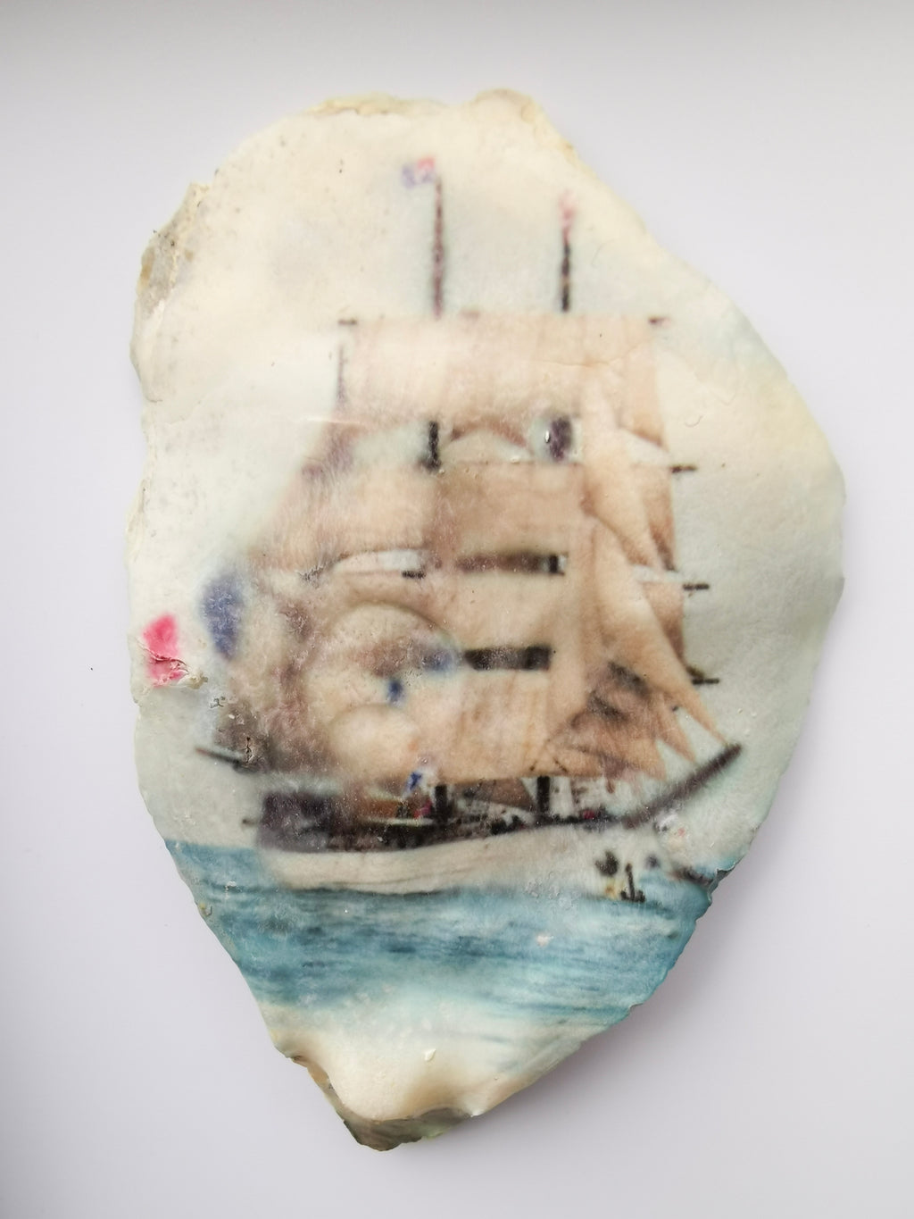 Huître Photographique – Le Français – Cadre Art Box 13x18 cm