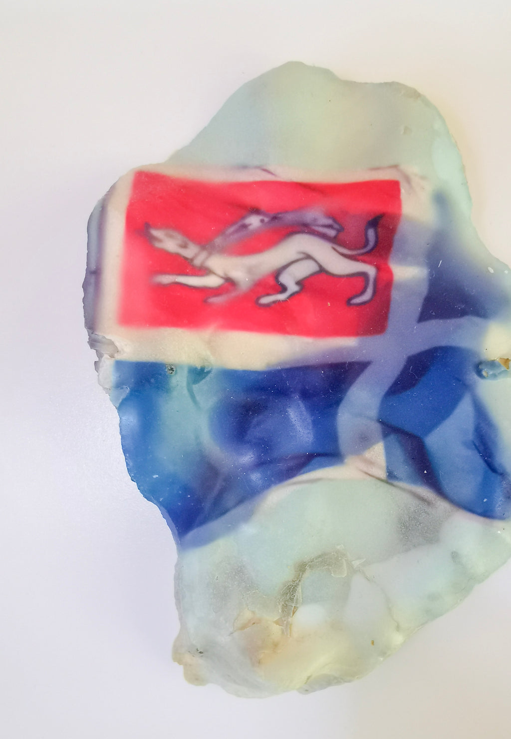 Huître Photographique – Saint-Malo "drapeau" – Cadre Art Box 13x18 cm