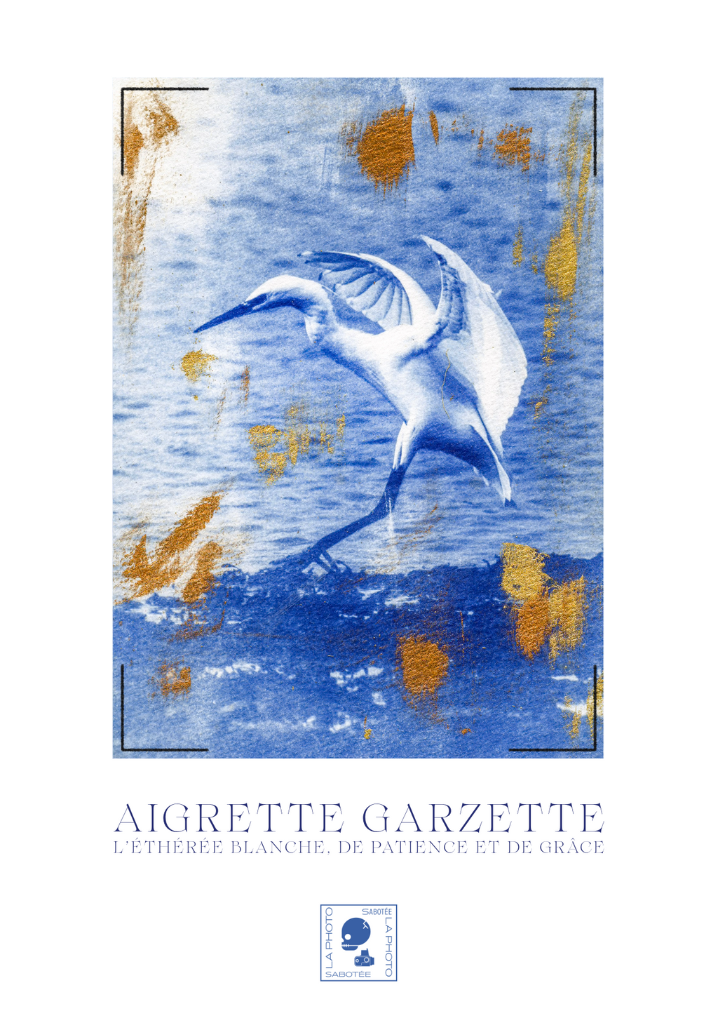 Affiche Cyanotypée (sans cadre) – aigrette garzette