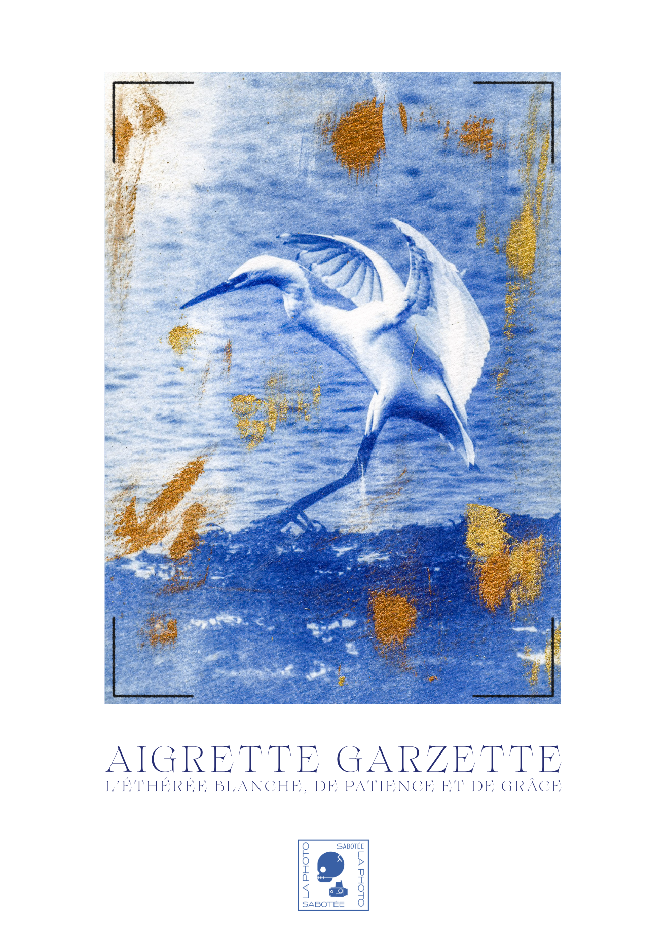 Affiche Cyanotypée (sans cadre) – aigrette garzette