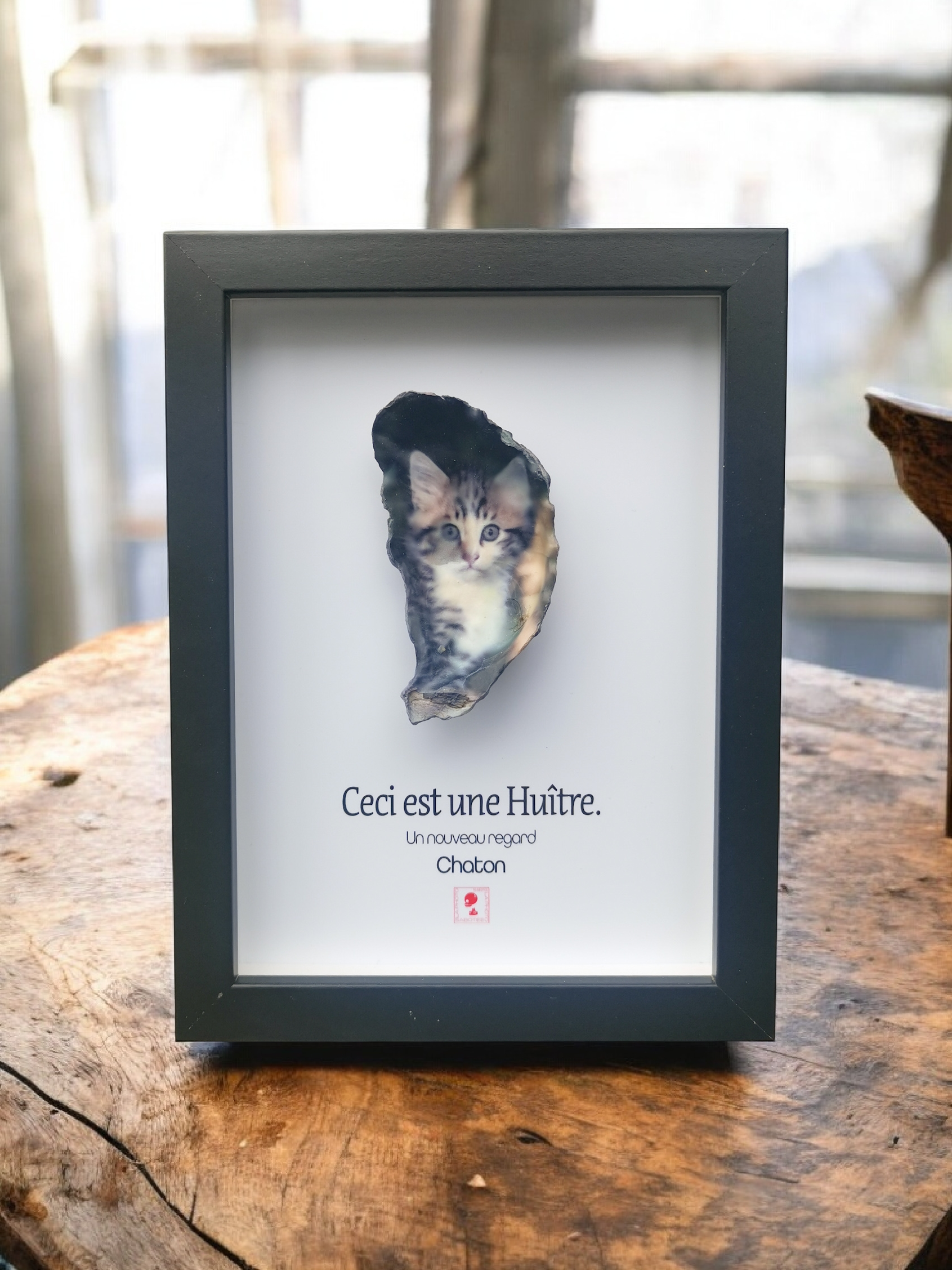 Huître Photographique – Chaton – Cadre Art Box 13x18 cm