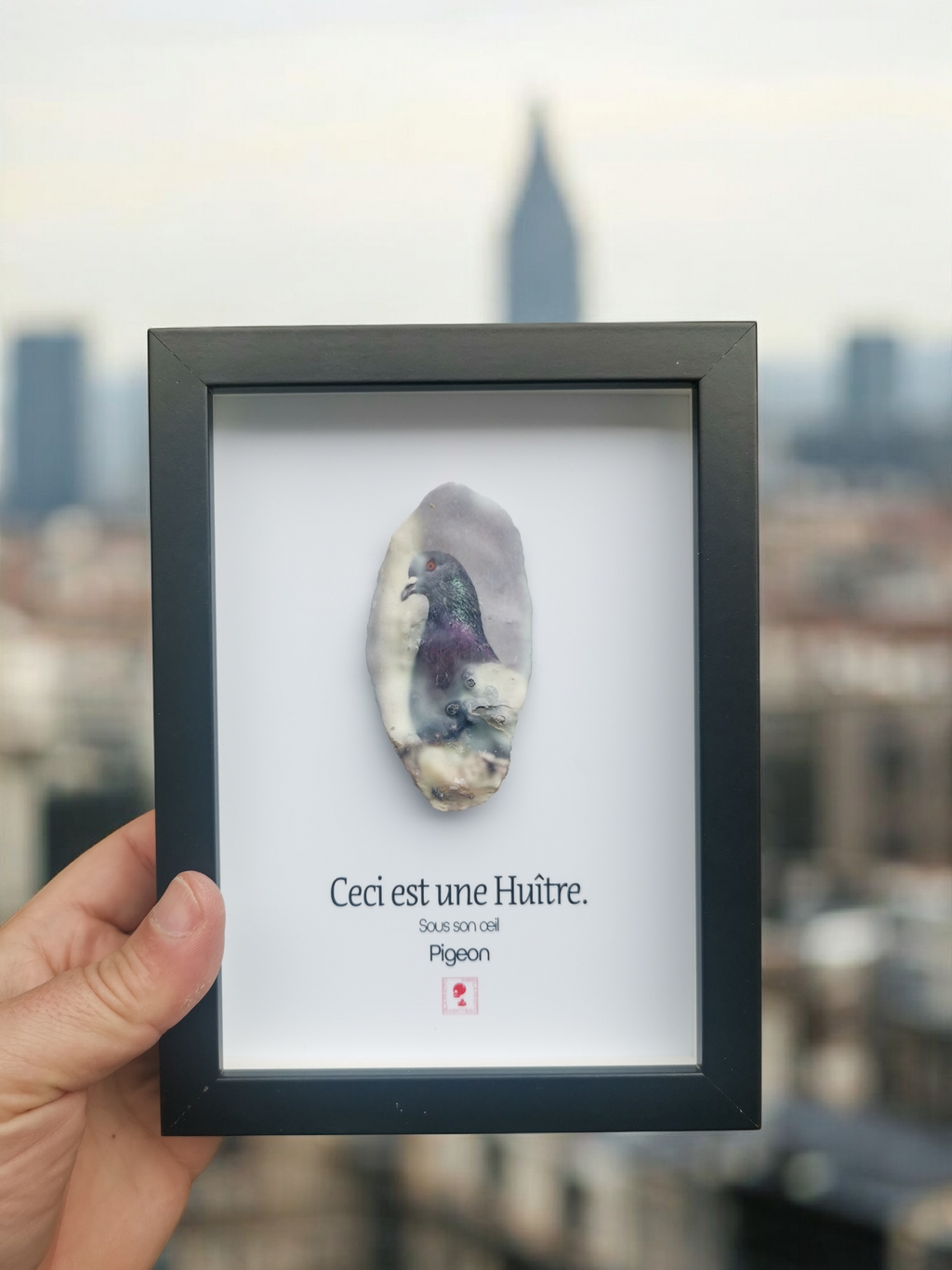 Huître Photographique – Pigeon – Cadre Art Box 13x18 cm