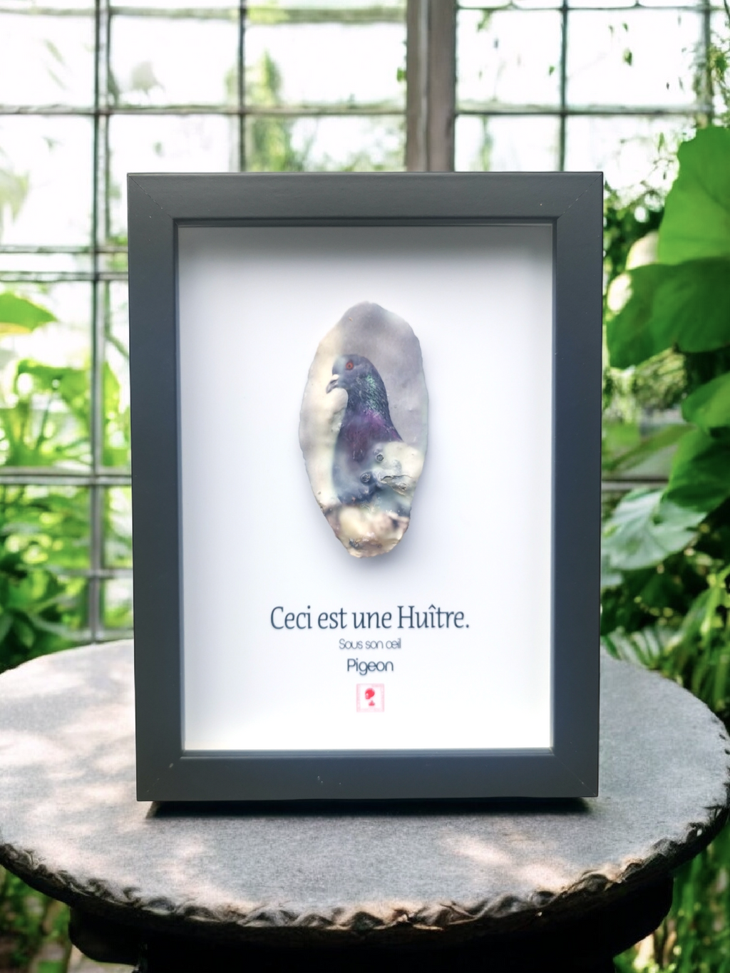 Huître Photographique – Pigeon – Cadre Art Box 13x18 cm