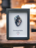 Huître Photographique – Chèvre – Cadre Art Box 13x18 cm