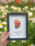 Huître Photographique – Coquelicot – Cadre Art Box 13x18 cm