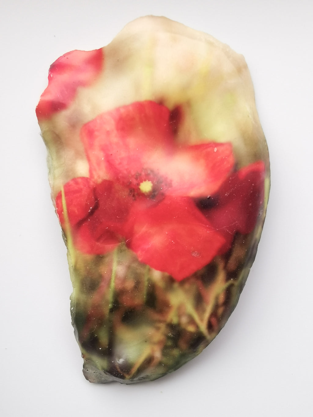 Huître Photographique – Coquelicot – Cadre Art Box 13x18 cm