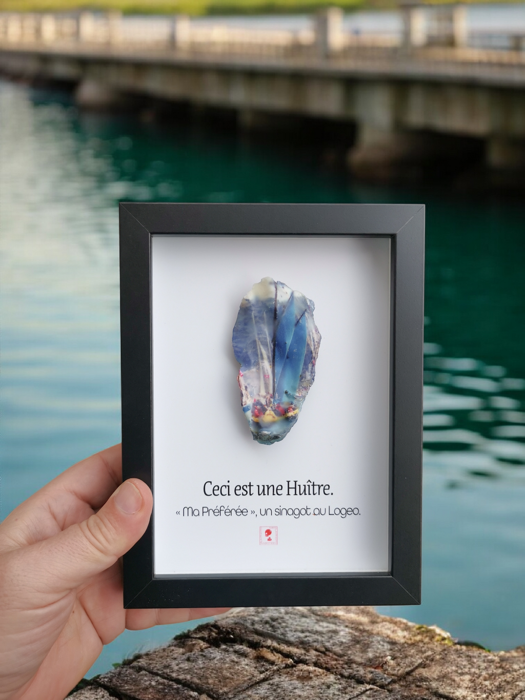 Huître Photographique – Sinagot "Ma Préférée" – Cadre Art Box 13x18 cm