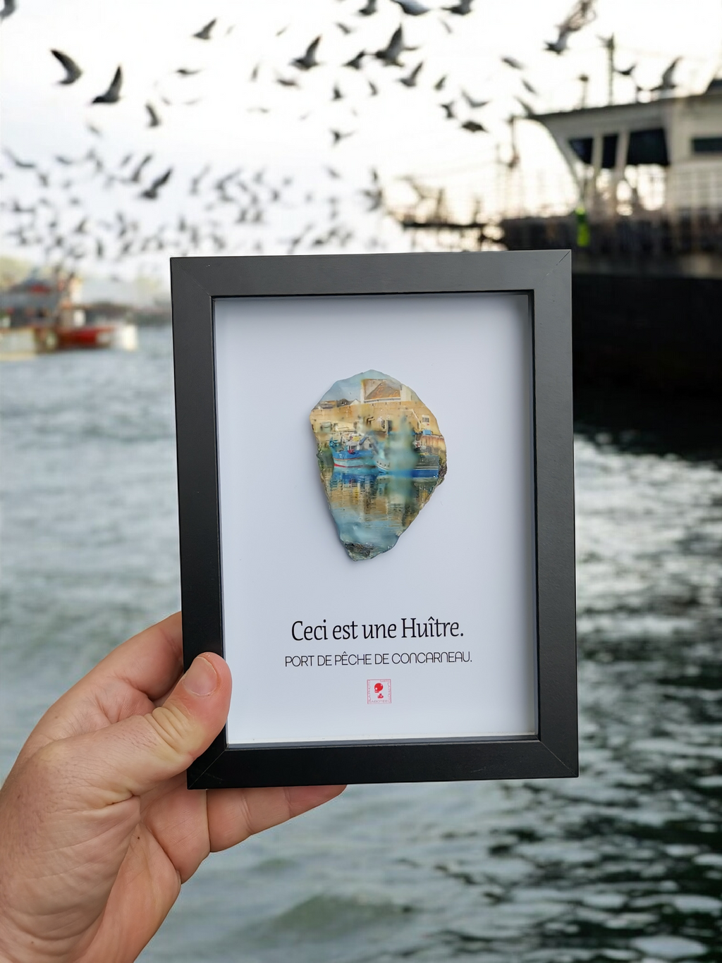 Huître Photographique – Port de pêche, Concarneau – Cadre Art Box 13x18 cm
