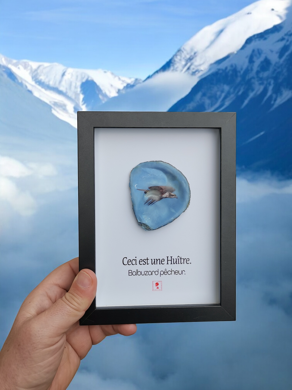 Huître Photographique – Le Balbuzard pêcheur  – Cadre 13x18 cm