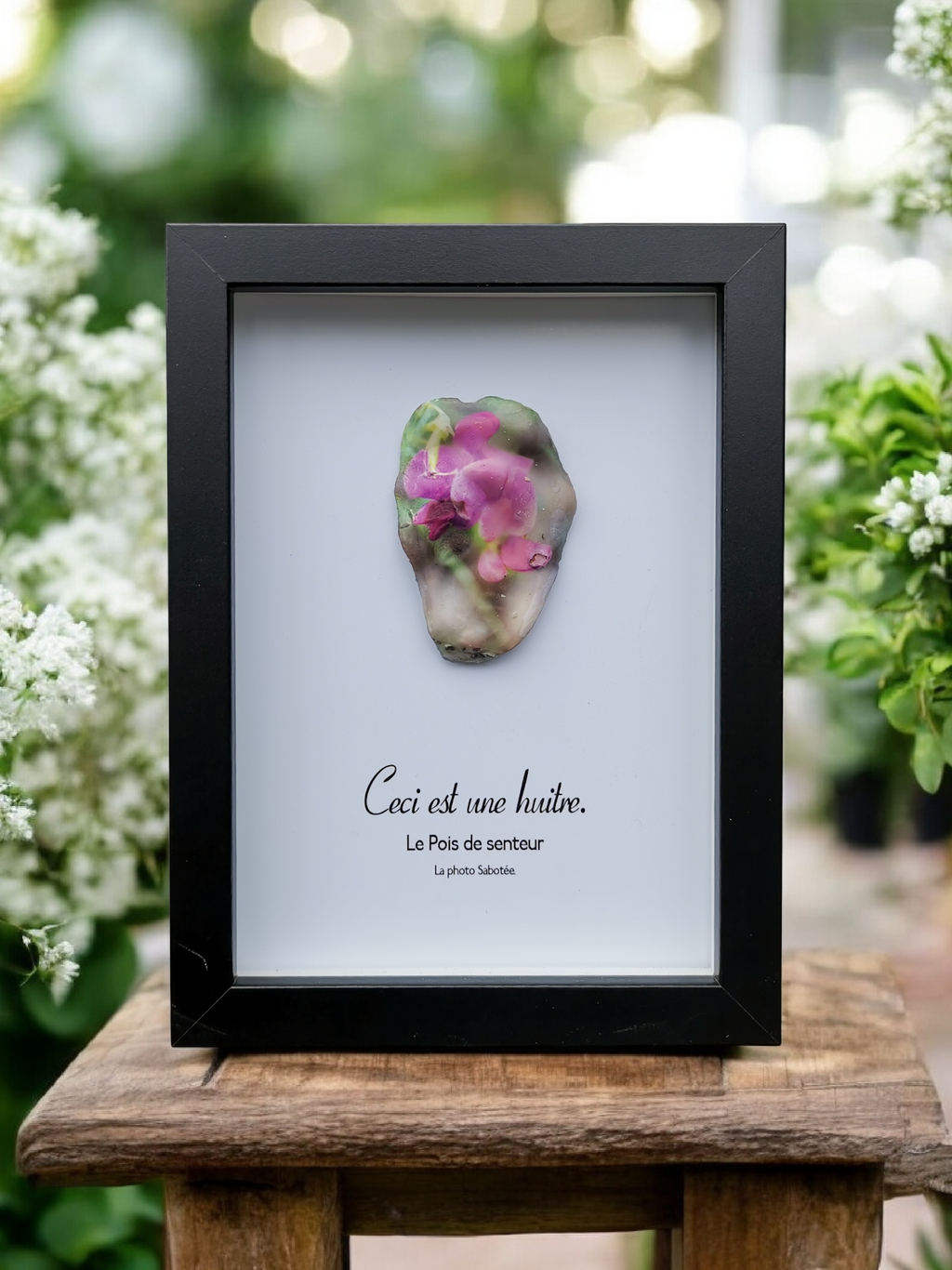 Huître Photographique – le pois de senteur – Cadre Art Box 13x18 cm