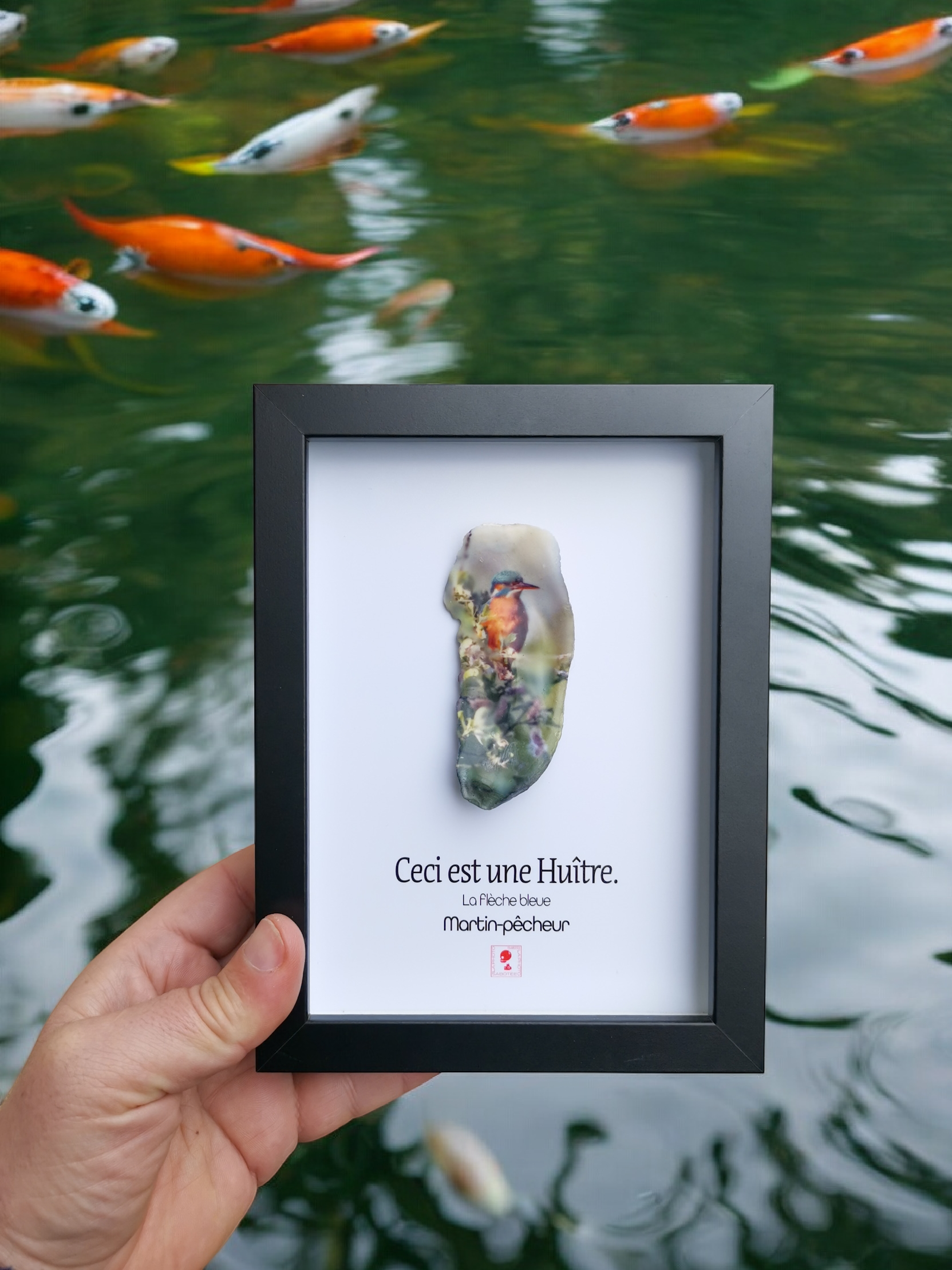 Huître Photographique – Martin Pêcheur – Cadre Art Box 13x18 cm