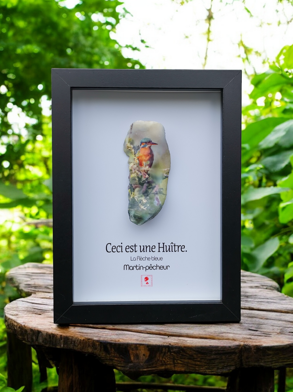 Huître Photographique – Martin Pêcheur – Cadre Art Box 13x18 cm