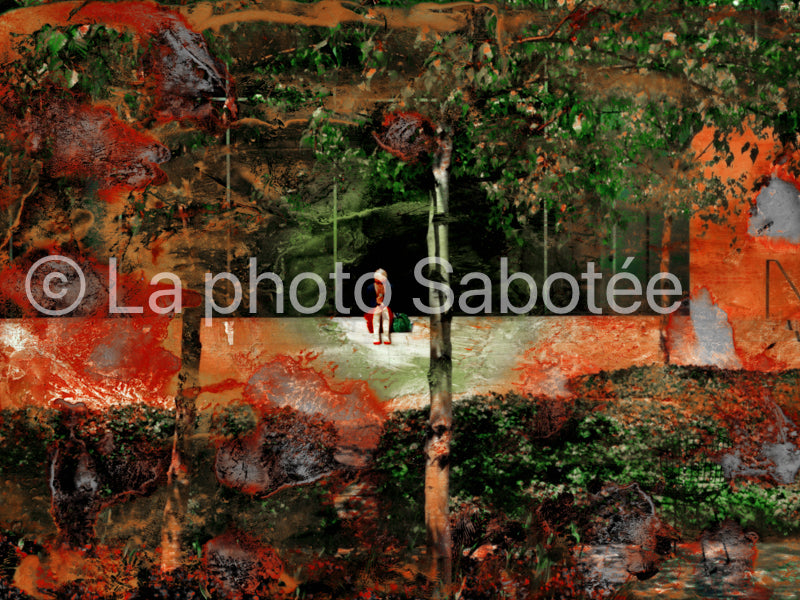 Le petit chaperon rouge - série : Projet new York (sans cadre)