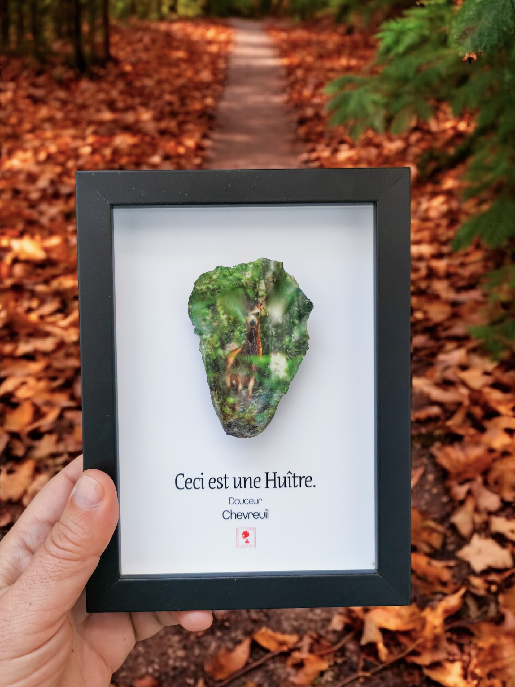 Huître Photographique – Chevreuil– Cadre Art Box 13x18 cm