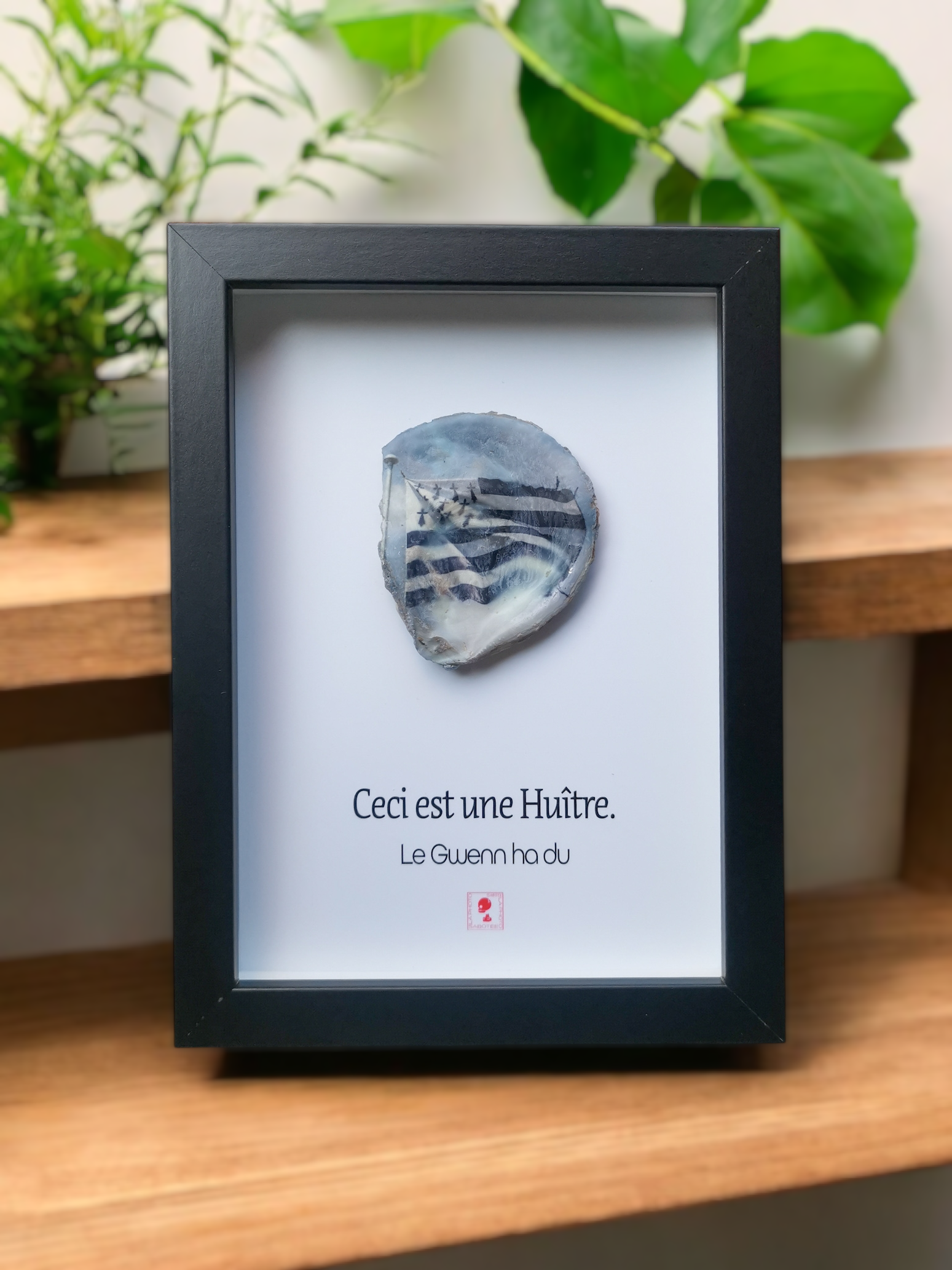 Huître Photographique – Le Gwenn ha Du – Cadre Art Box 13x18 cm
