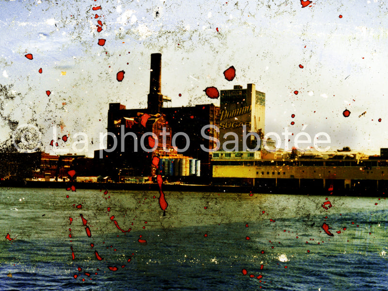 Sucre - série : Projet new York (sans cadre)