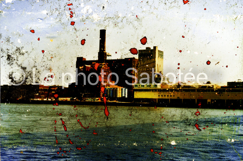 Sucre - série : Projet new York (sans cadre)