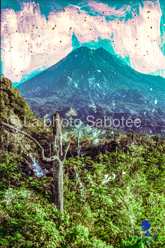 TANGGER - série Bagus bagus - photographie expérimental (sans cadre)