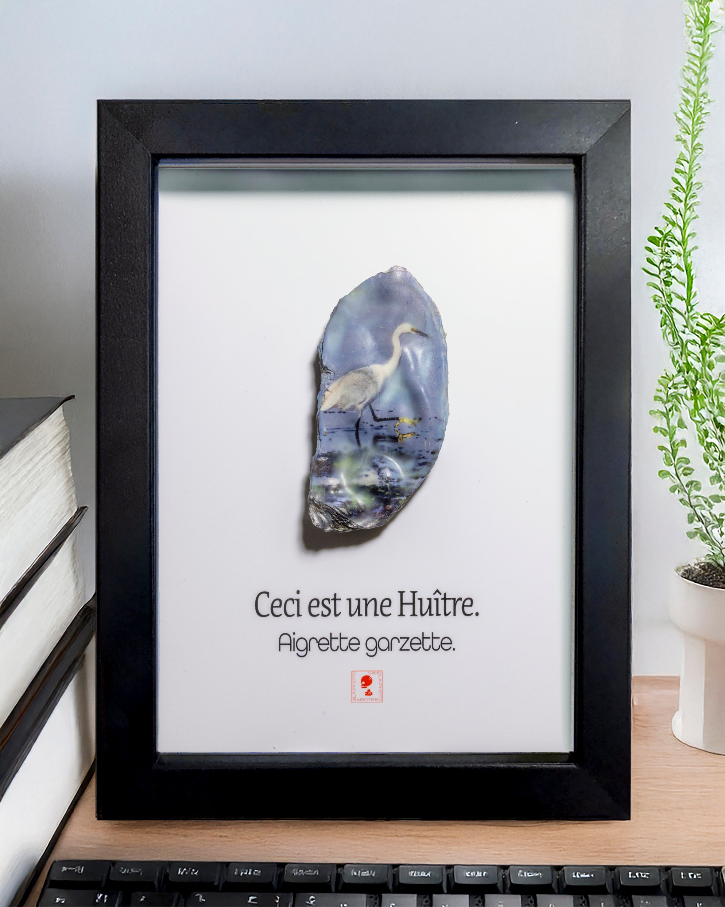 Huître Photographique – Aigrette garzette – Cadre Art Box 13x18 cm