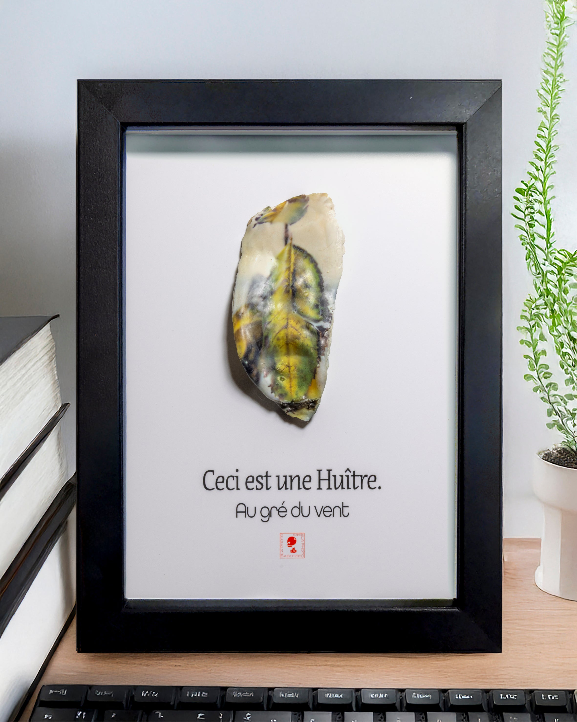 Huître Photographique –Au gré du vent – Cadre Art Box 13x18 cm