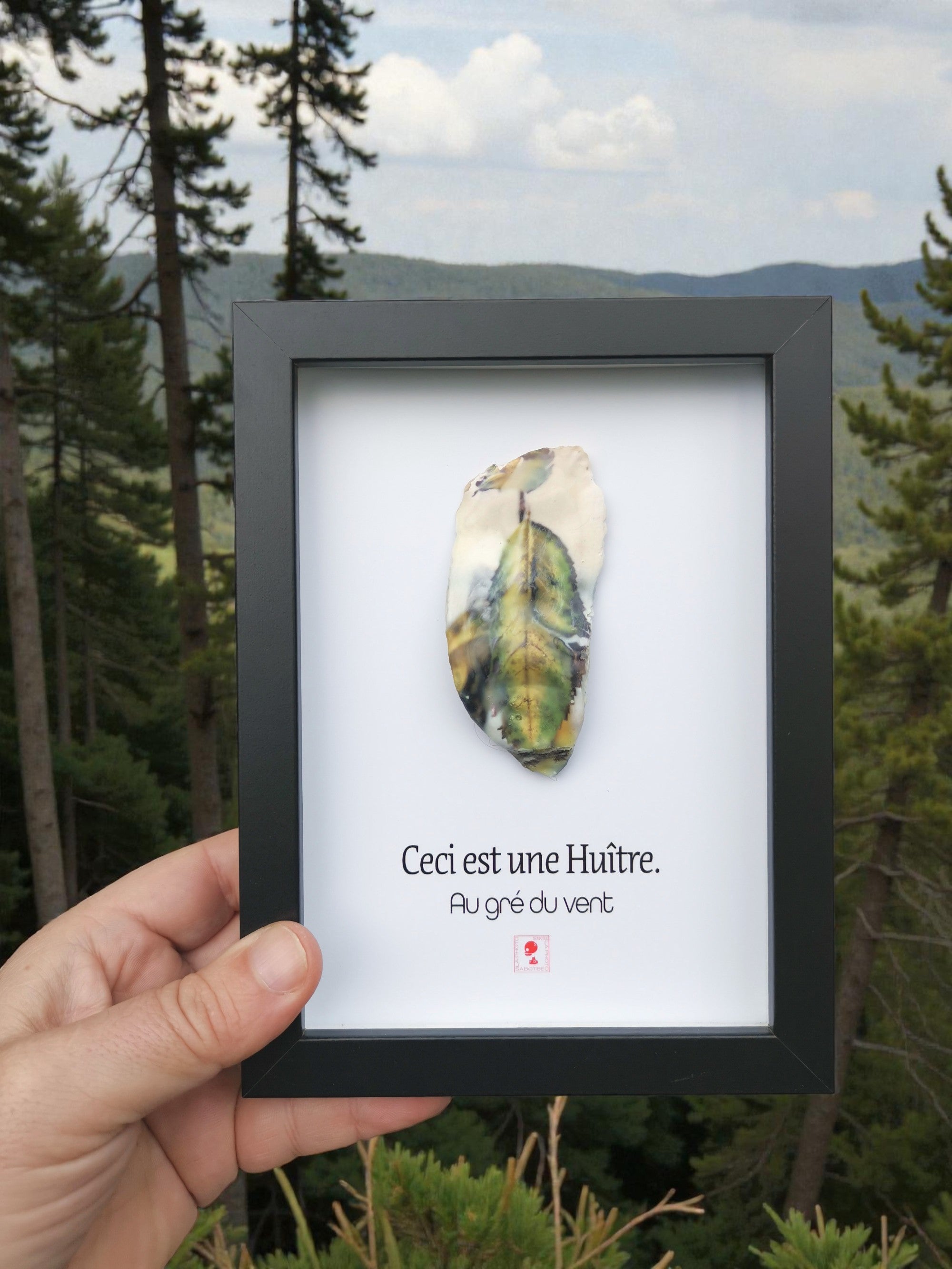 Huître Photographique –Au gré du vent – Cadre Art Box 13x18 cm
