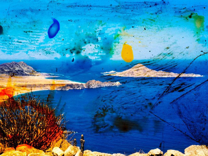 Buisson Adrent - série : llamada (sans cadre)