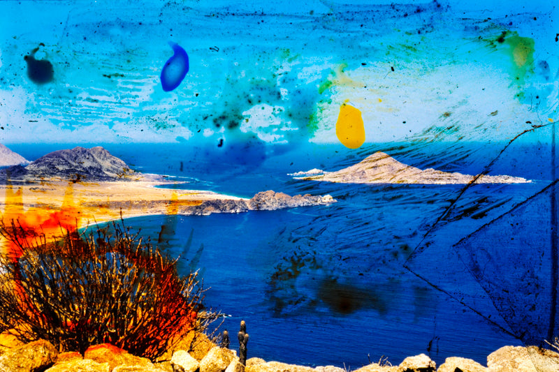 Buisson Adrent - série : llamada (sans cadre)