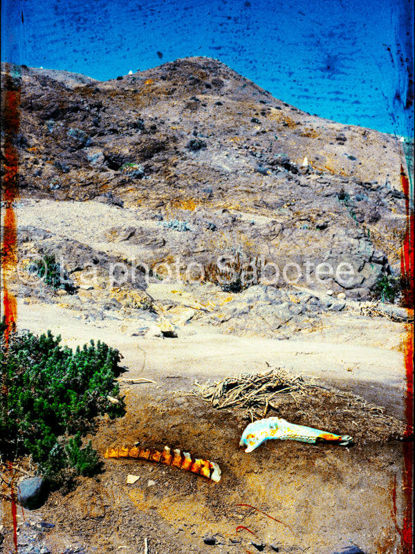 Detrás del mirador - série : llamada (sans cadre)