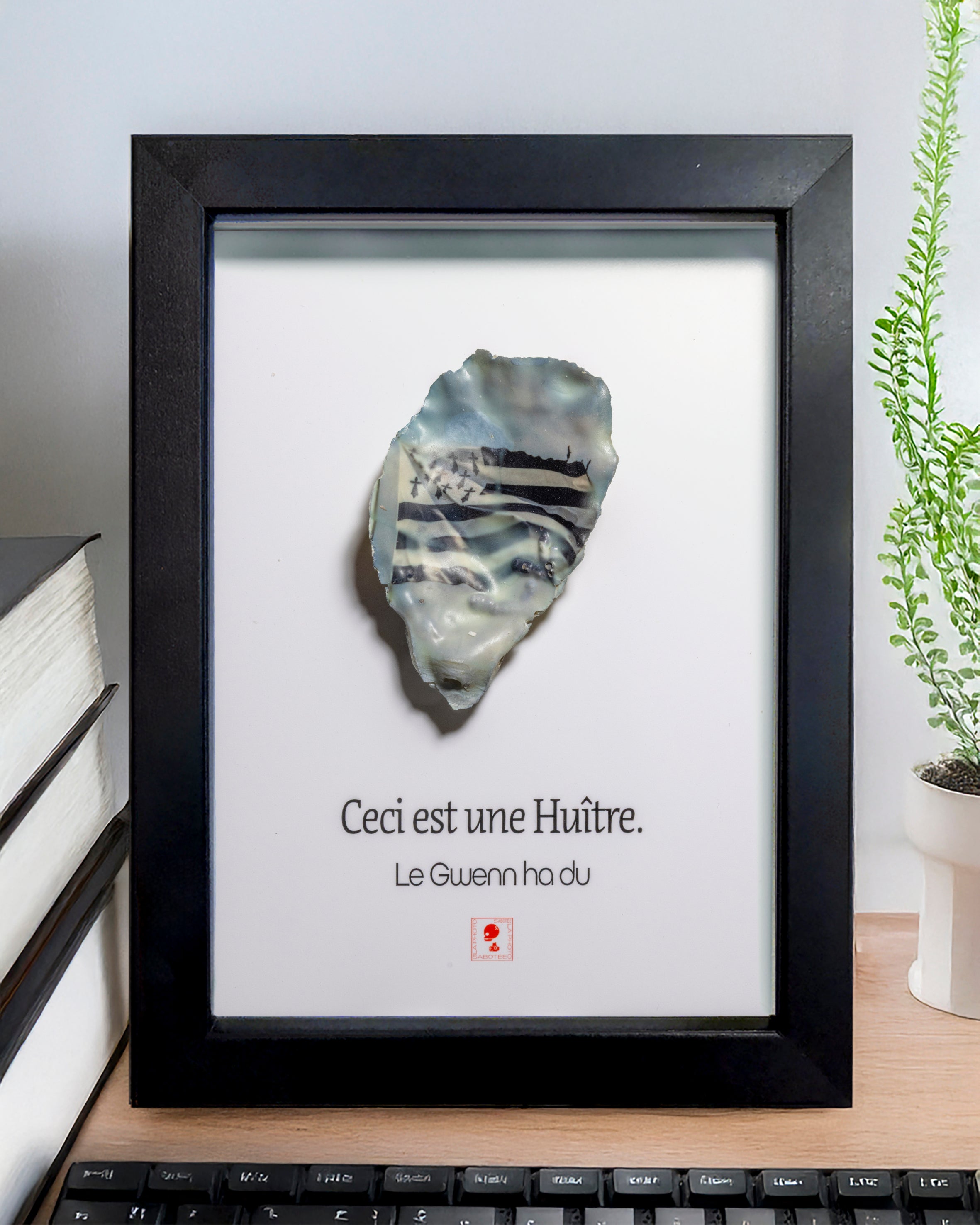 Huître Photographique – Le Gwenn ha Du – Cadre Art Box 13x18 cm