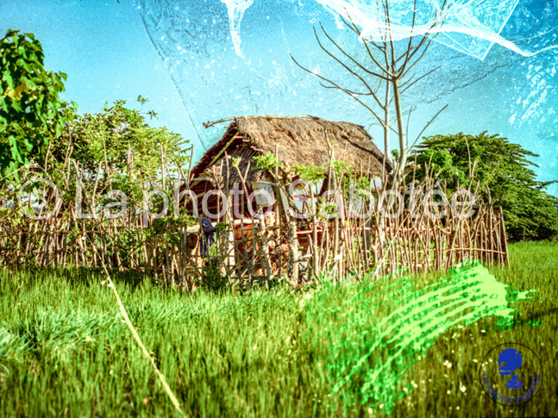 Saung - série Bagus bagus - photographie expérimental (sans cadre)