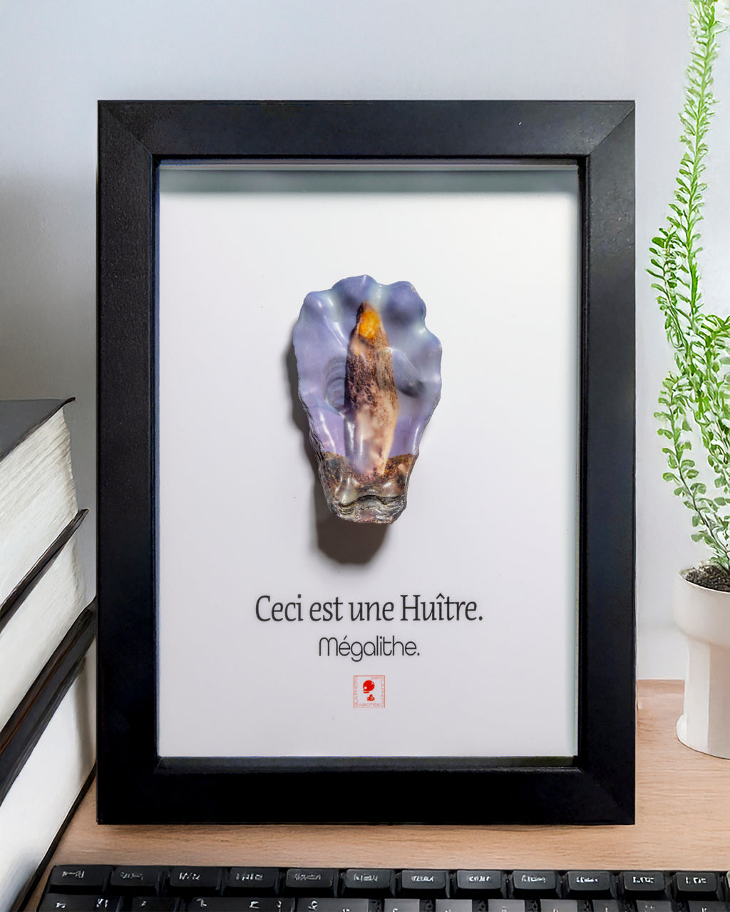 Huître Photographique – Mégalithe – Cadre Art Box 13x18 cm