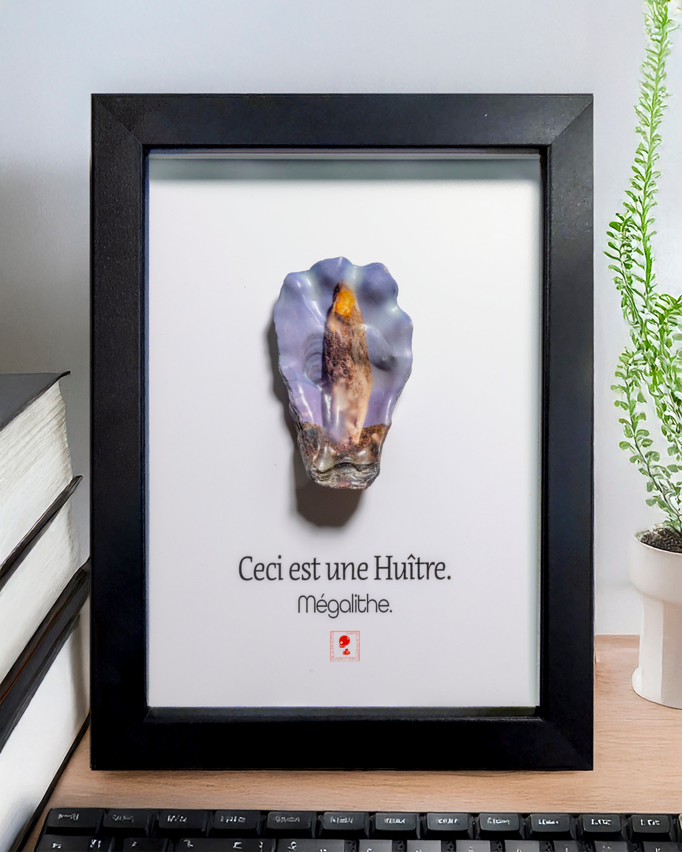 Huître Photographique – Mégalithe – Cadre Art Box 13x18 cm