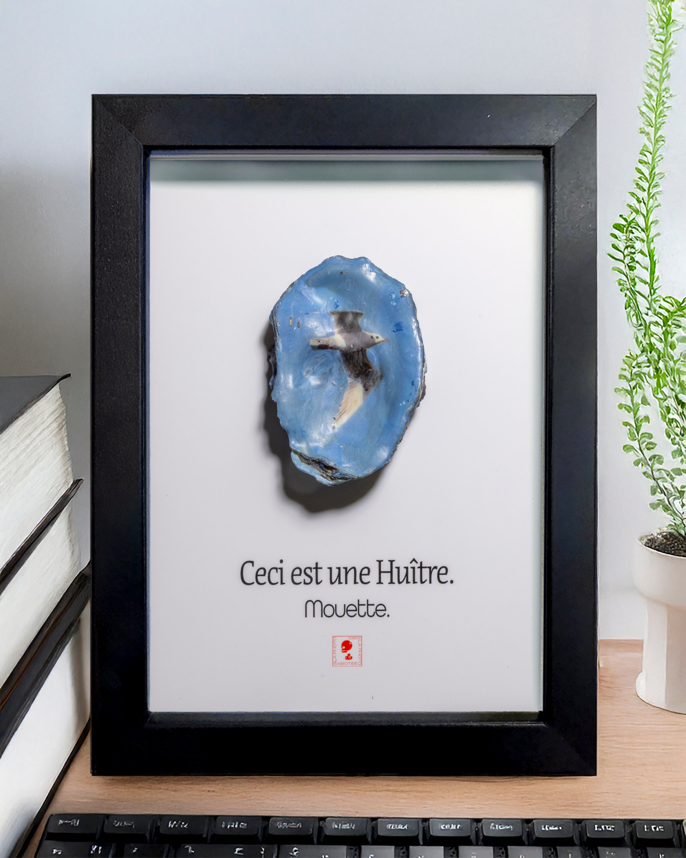 Huître Photographique – Mouette – Cadre Classique 13x18 cm