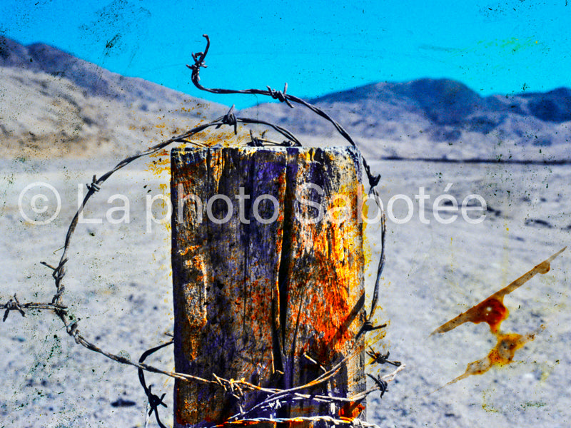 Pilori - série : llamada (sans cadre)