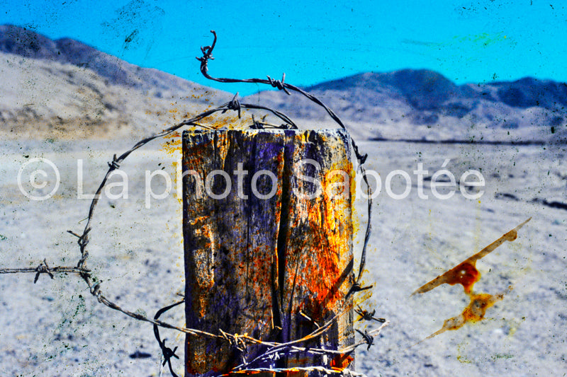 Pilori - série : llamada (sans cadre)