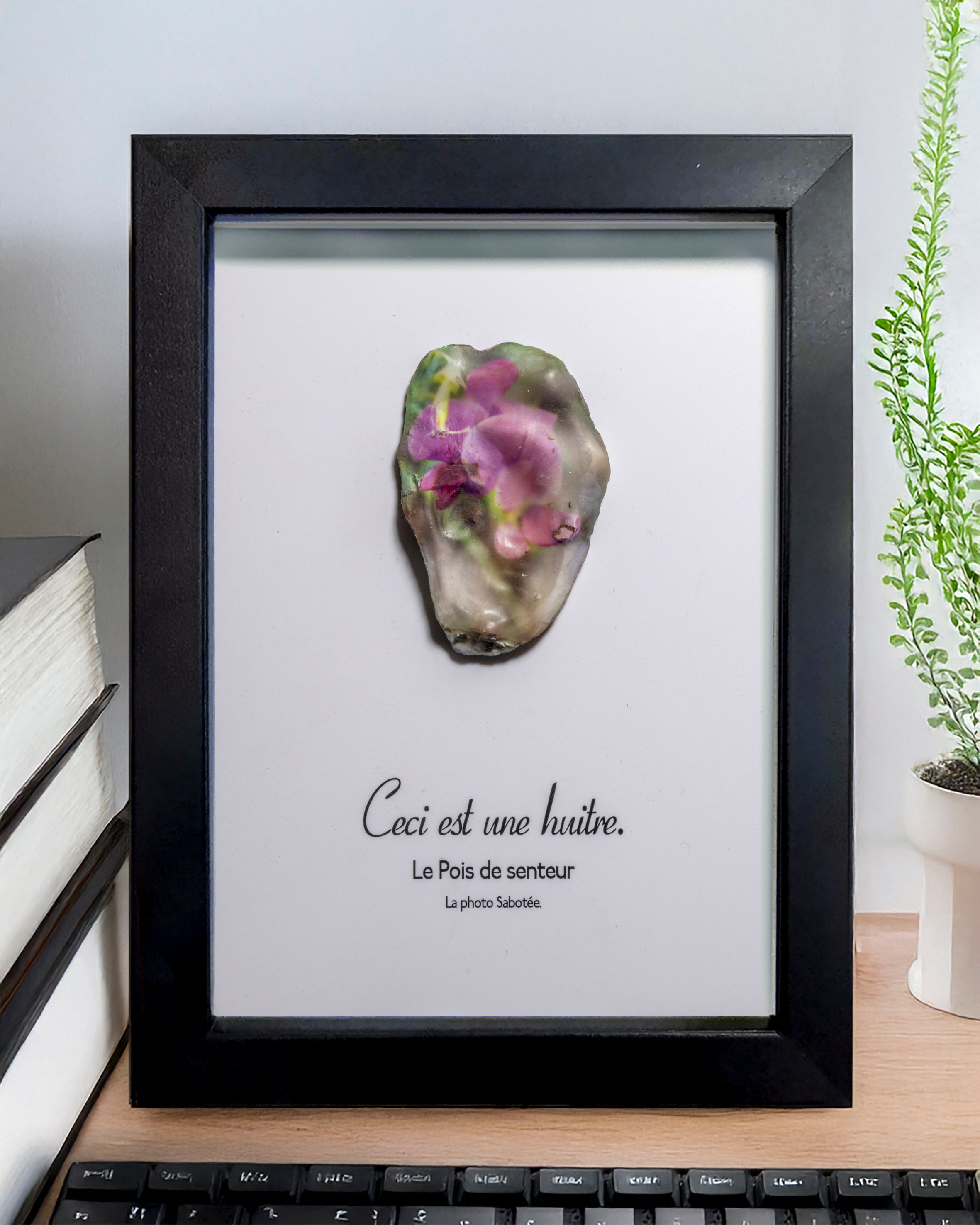 Huître Photographique – le pois de senteur – Cadre Art Box 13x18 cm