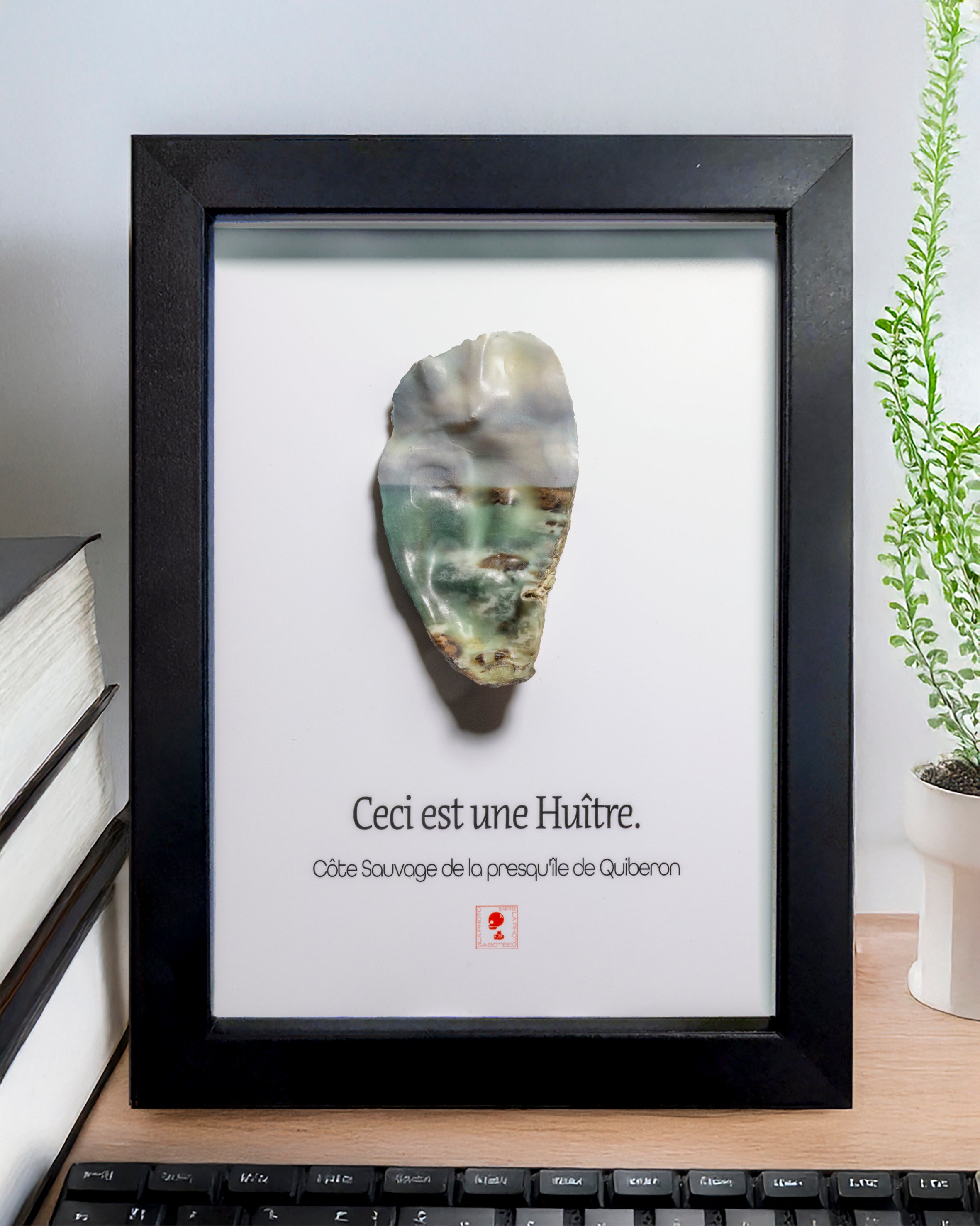 Huître Photographique – Cote sauvage presqu île de quiberon  – Cadre Classique 13x18 cm