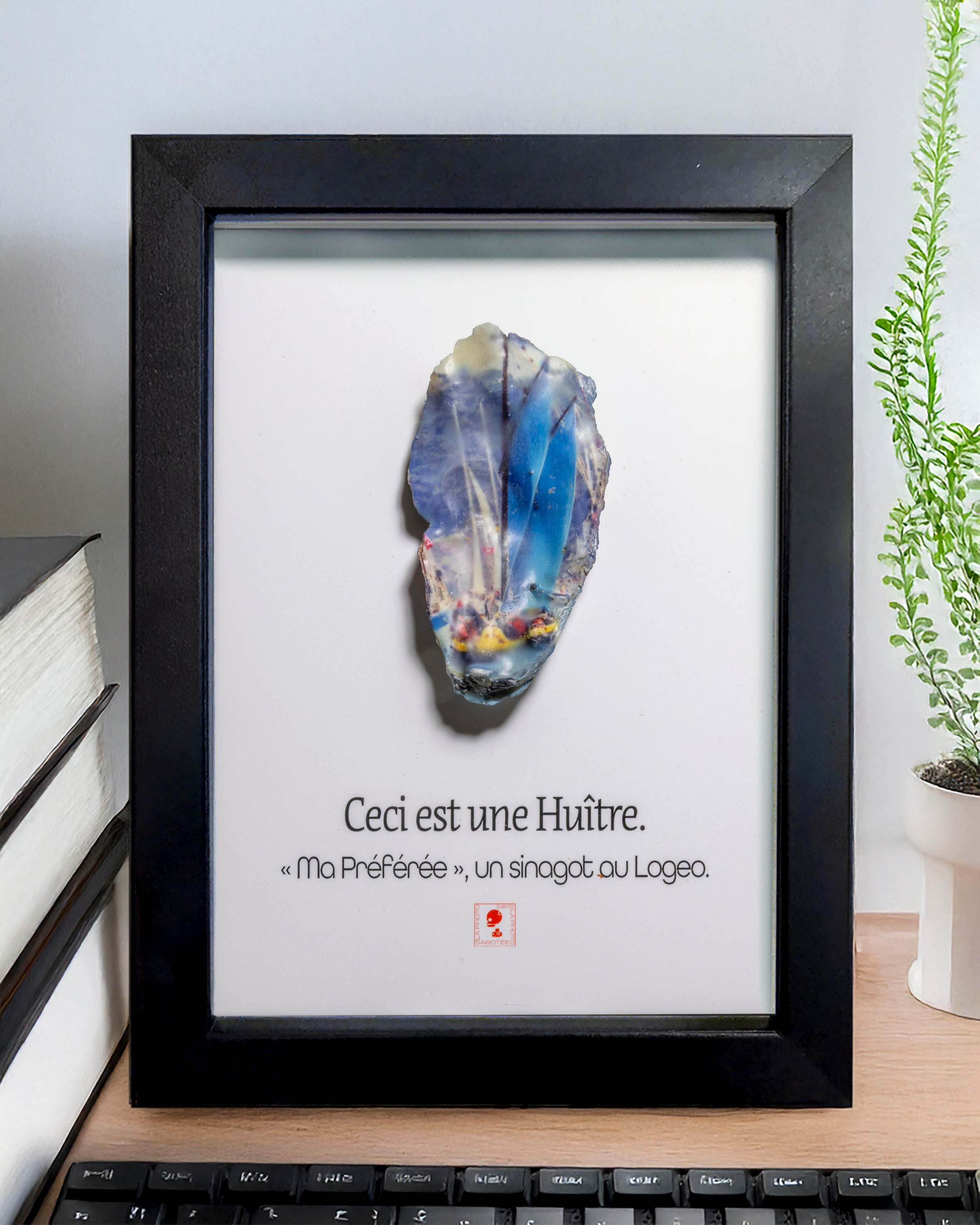 Huître Photographique – Sinagot "Ma Préférée" – Cadre Classique 13x18 cm