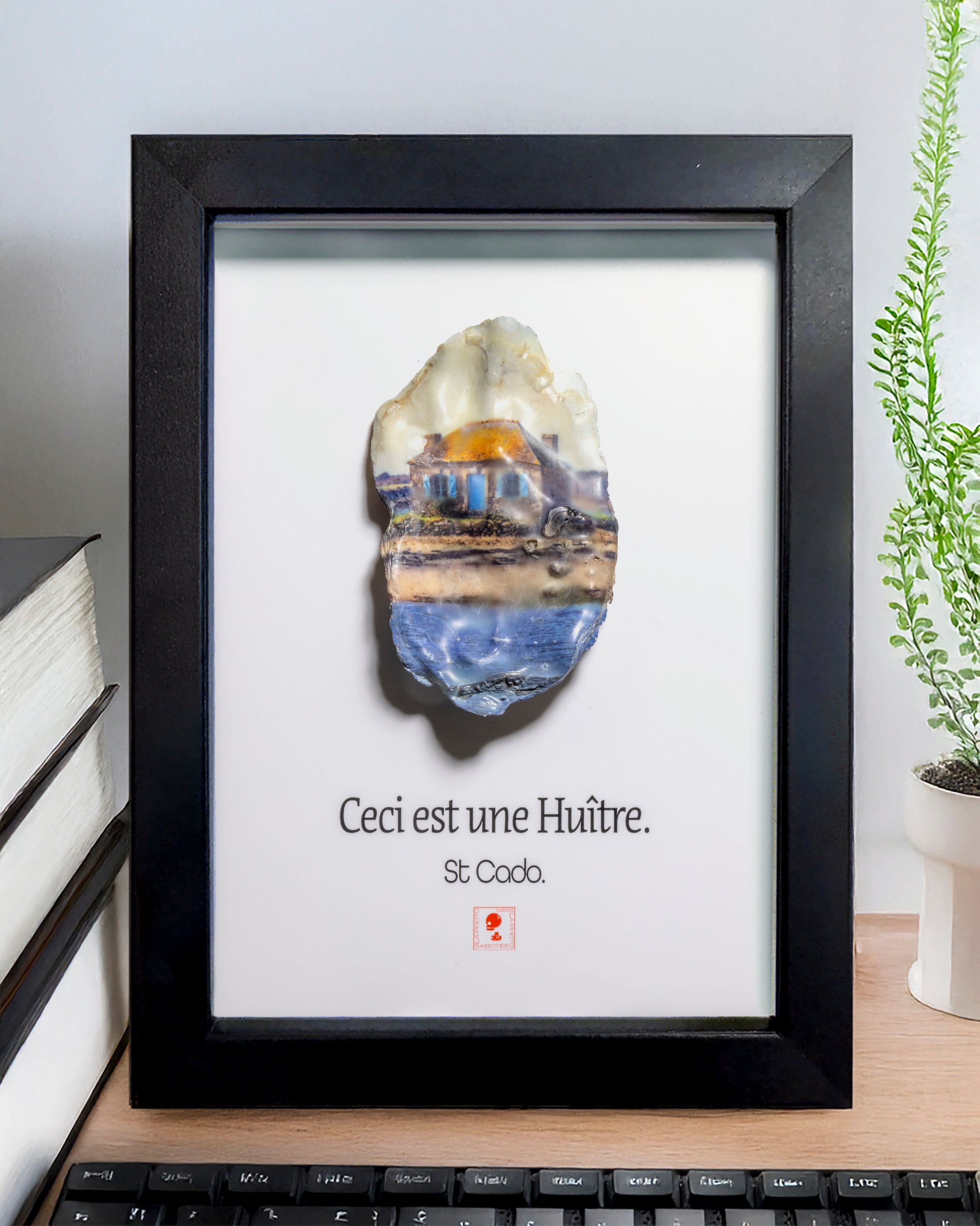 Huître Photographique – ST Cado  – Cadre Classique 13x18 cm